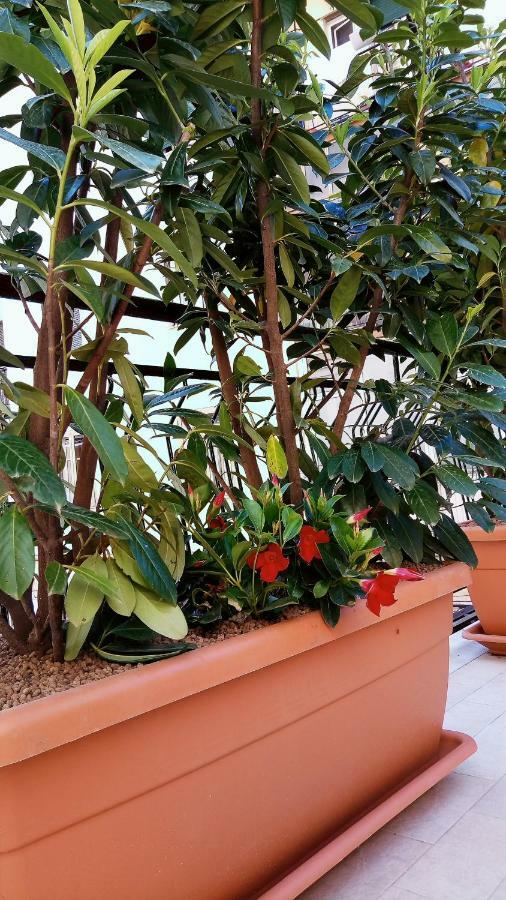 B&B Malaga Salerno Kültér fotó